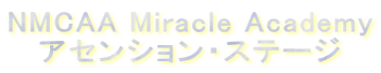 NMCAA Miracle Academy AZVEXe[W
