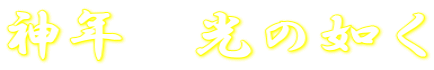 _N@̔@