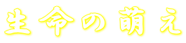 ̖G